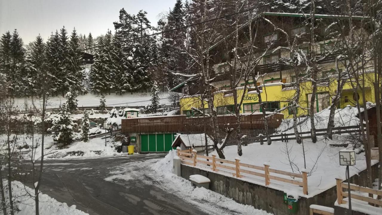 Hotel Habhof - Garni Mösern Dış mekan fotoğraf